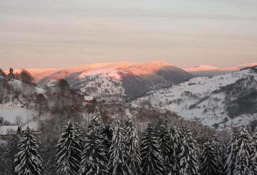 تختخواب و صبحانه La Ferme Du Vieux Sapin