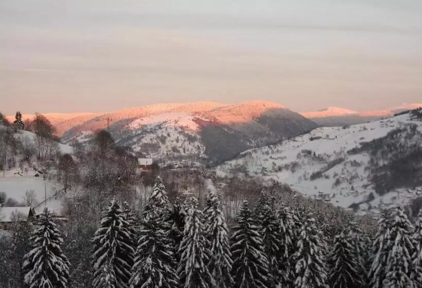 ベッドアンドブレックファースト La Ferme Du Vieux Sapin