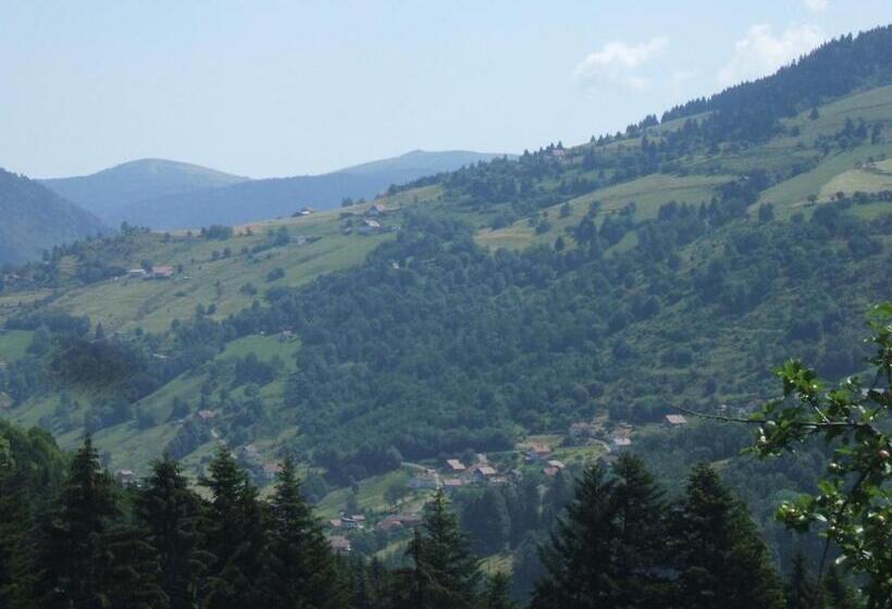 تختخواب و صبحانه La Ferme Du Vieux Sapin