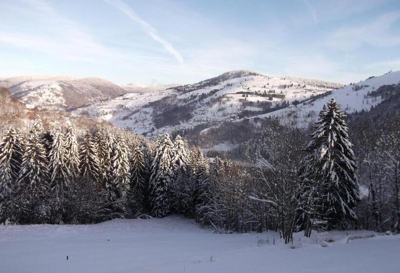 تختخواب و صبحانه La Ferme Du Vieux Sapin