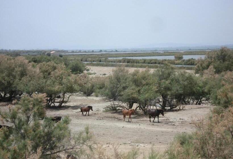 住宿加早餐 Le Mas De L'amandier