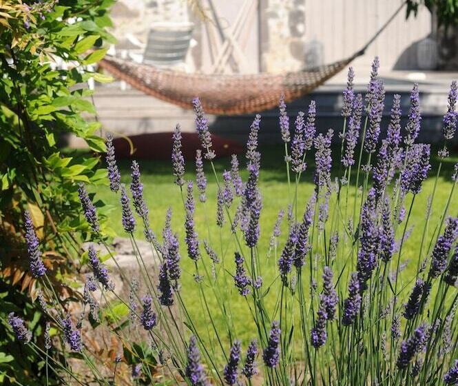 Bed and Breakfast Les Chambres D'andrea