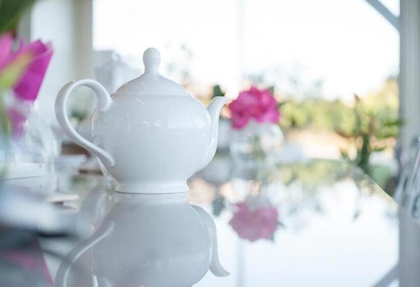 Bed and Breakfast Les Raisins Du Bonheur