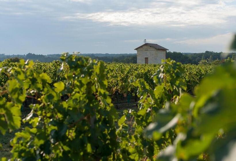 Bed and Breakfast Les Raisins Du Bonheur