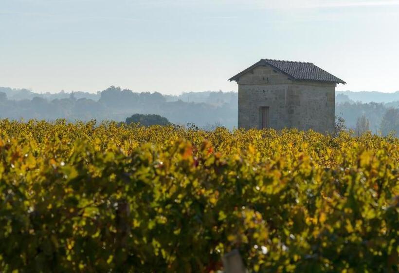 Bed and Breakfast Les Raisins Du Bonheur