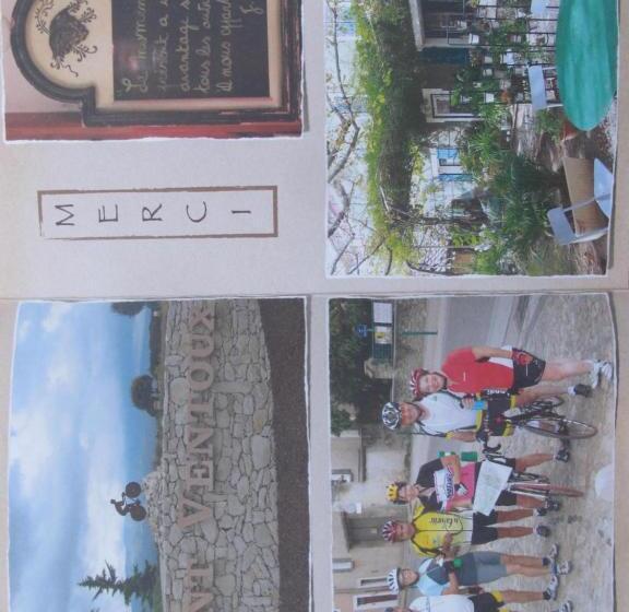 민박 Lou Cardalines