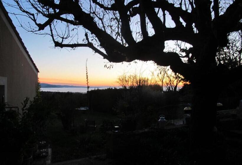 민박 Lou Cardalines