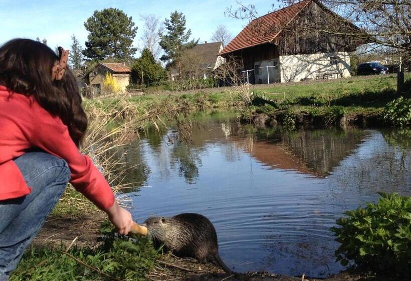 Aamiaismajoitus (B&B) Villa Elyane