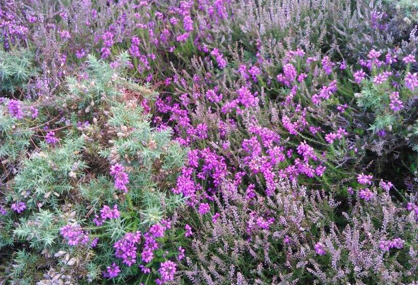 호텔 Auberge L'air De Vent