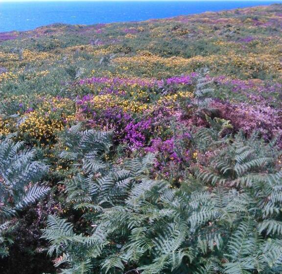 호텔 Auberge L'air De Vent