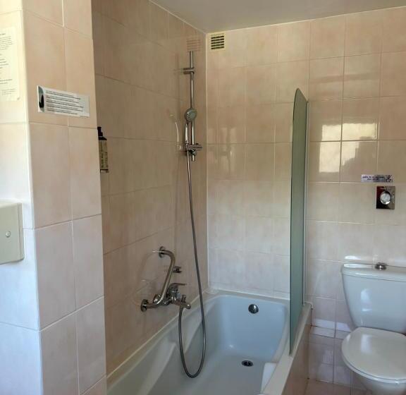 酒店 Hôtel Le Blainon