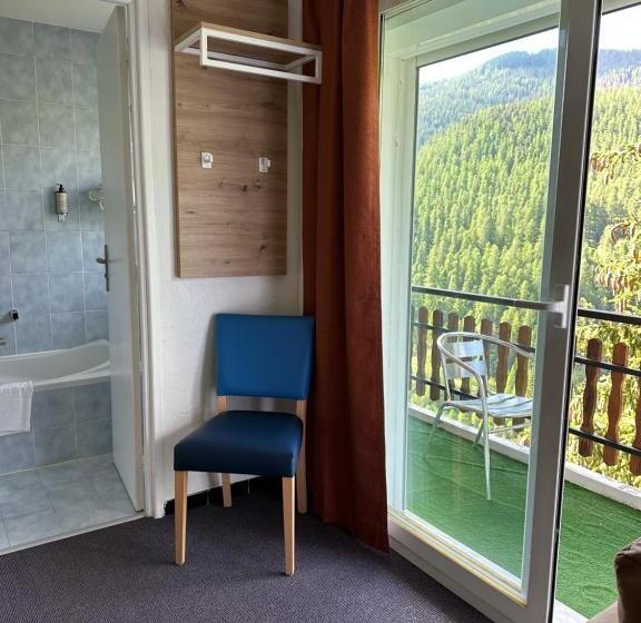 酒店 Hôtel Le Blainon