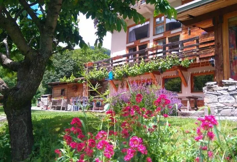 Hotelli Hôtel Restaurant Gîtes Les 5 Saisons