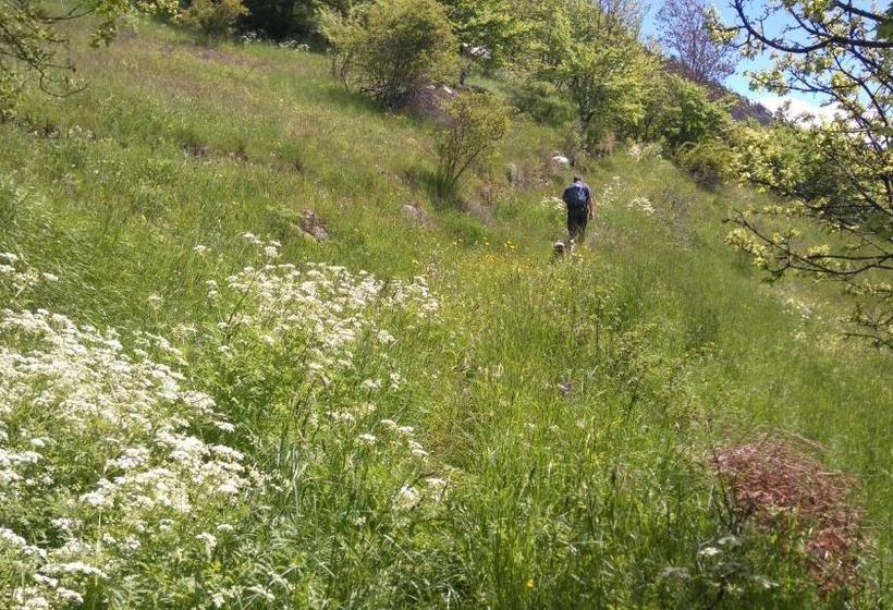 酒店 Hôtel Restaurant Gîtes Les 5 Saisons