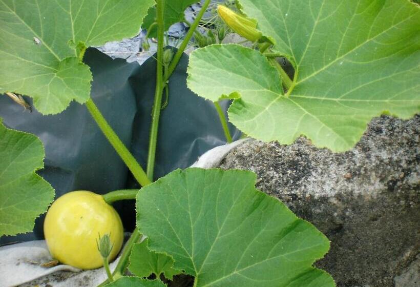 ホテル Logis Hôtels Troglododo