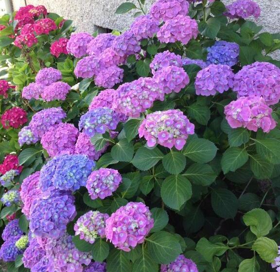 Bed and Breakfast Demeure D'hôtes Les Irisynes