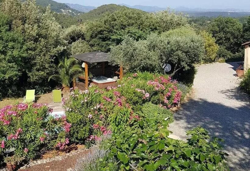 ベッドアンドブレックファースト Domaine De Borie Chambres D Hôtes