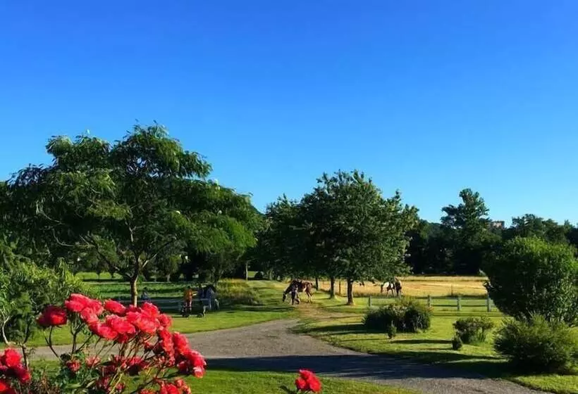ベッドアンドブレックファースト Domaine De Borie Chambres D Hôtes