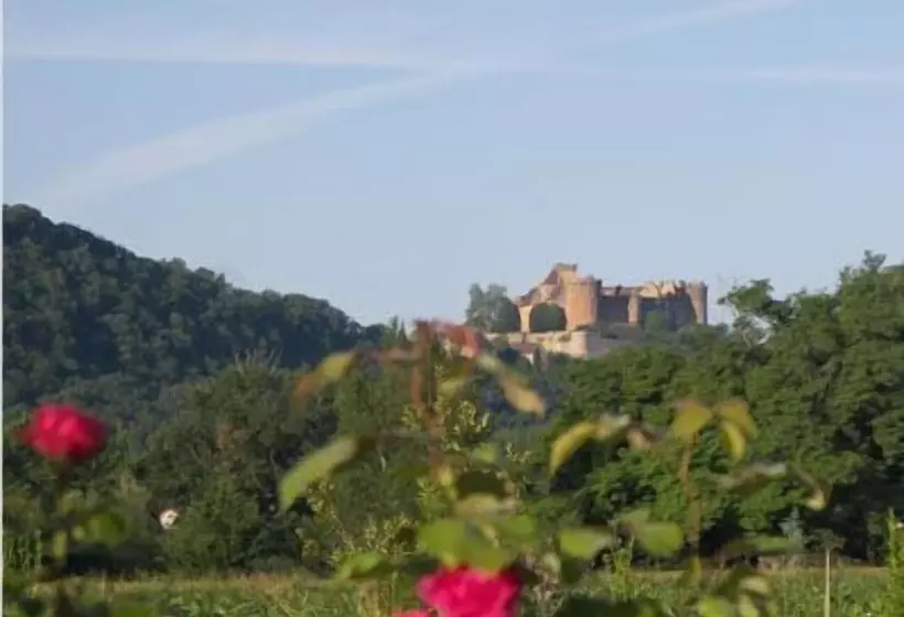 ベッドアンドブレックファースト Domaine De Borie Chambres D Hôtes