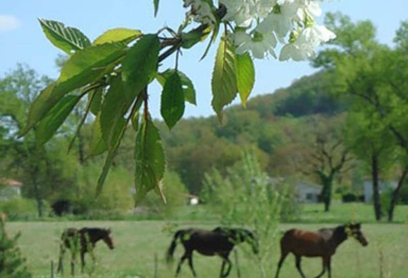 مبيت وإفطار Domaine De Borie Chambres D Hôtes
