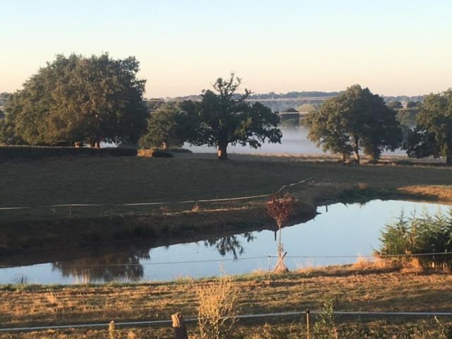 住宿加早餐  Domaine De La Madeleine