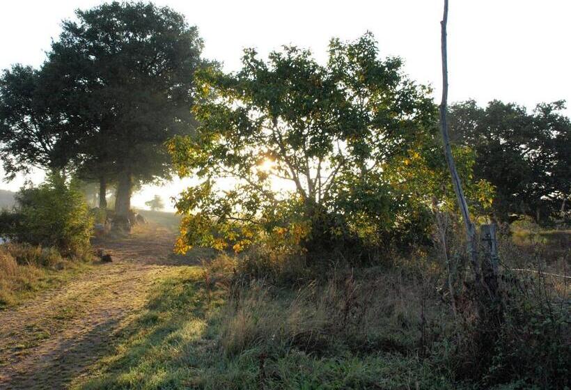 住宿加早餐  Domaine De La Madeleine