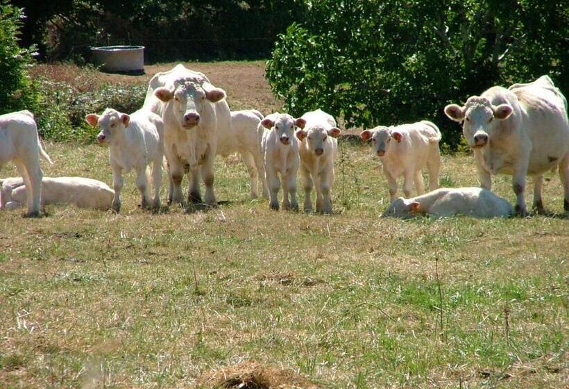 住宿加早餐  Domaine De La Madeleine