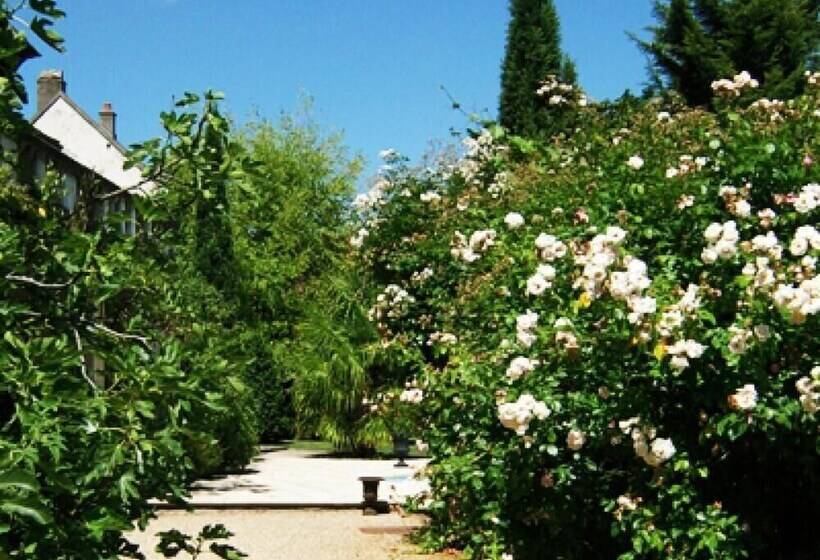 مبيت وإفطار Les Demoiselles De Ladoix