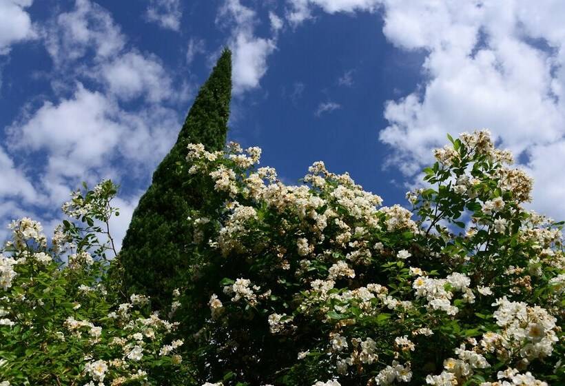 مبيت وإفطار Les Demoiselles De Ladoix