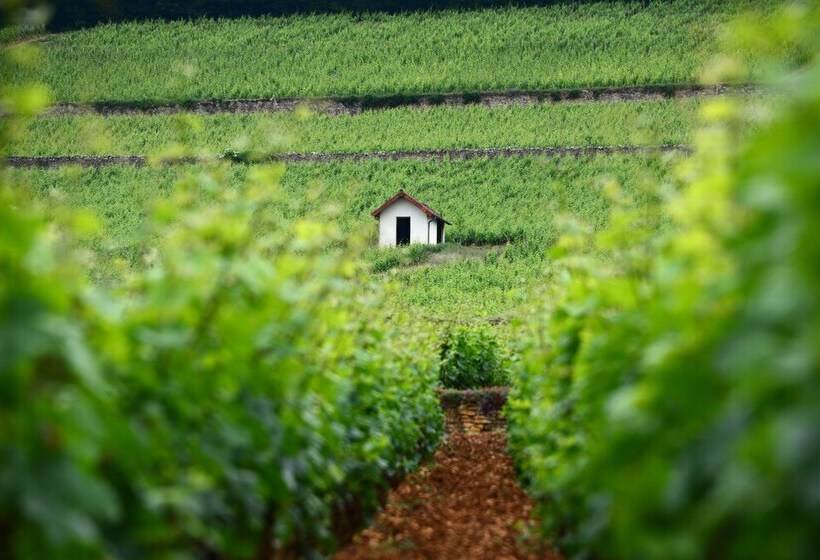 مبيت وإفطار Les Demoiselles De Ladoix