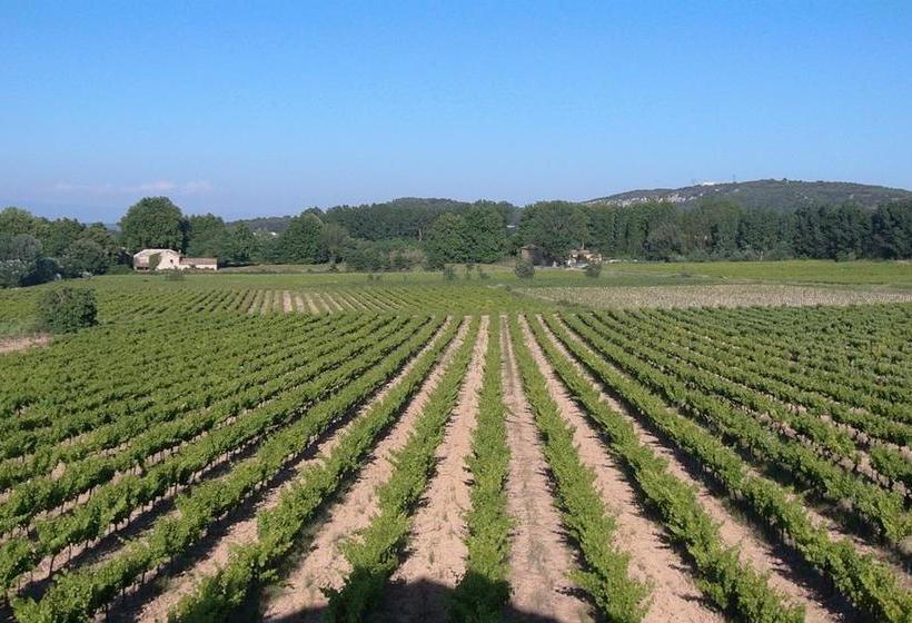 Le Mas De La Treille Bed & Breakfast