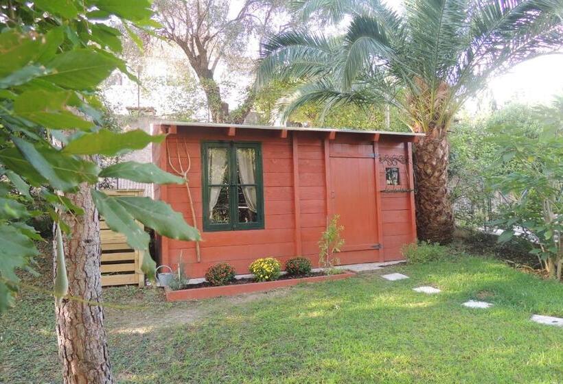 צימר Sous L Olivier