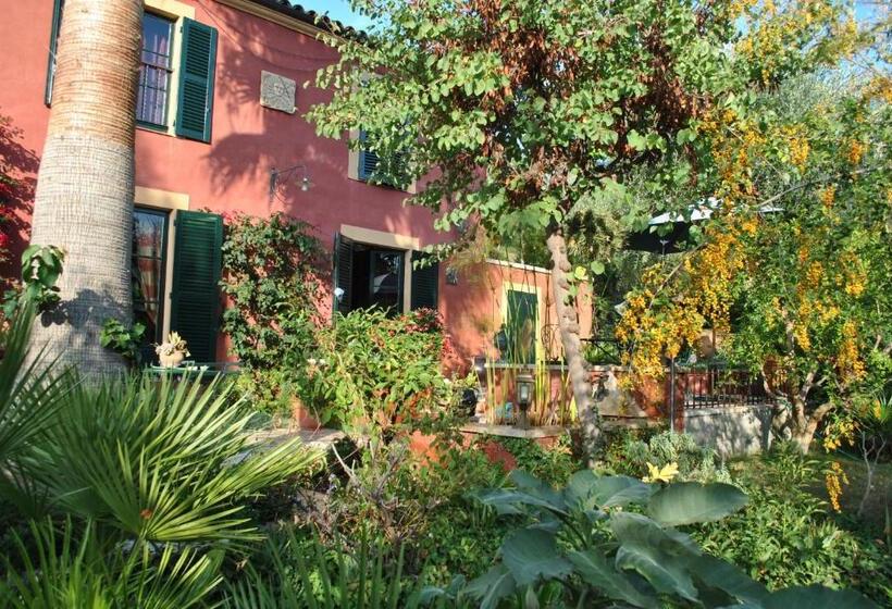 צימר Sous L Olivier