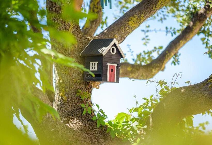 فندق Hôtel Le Martray