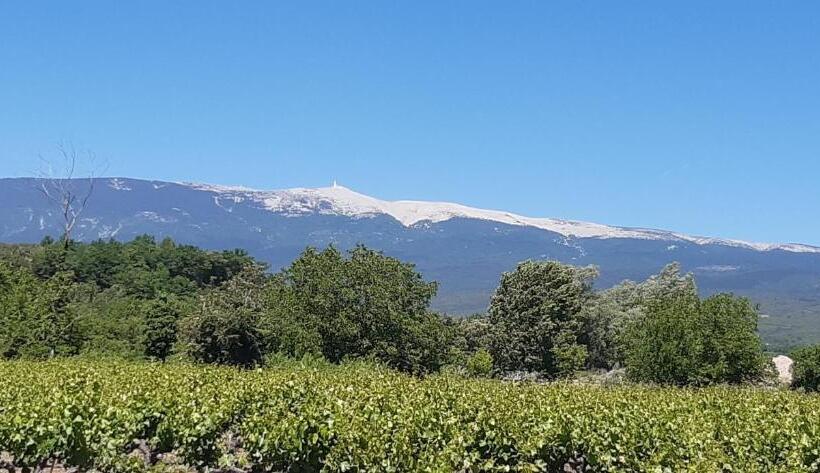 هتل Hôtel Le Siècle