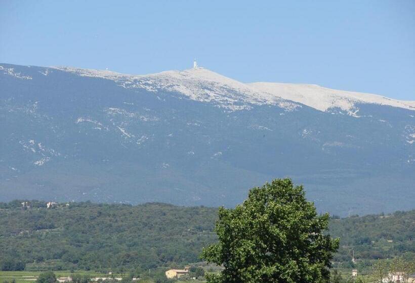 هتل Hôtel Le Siècle