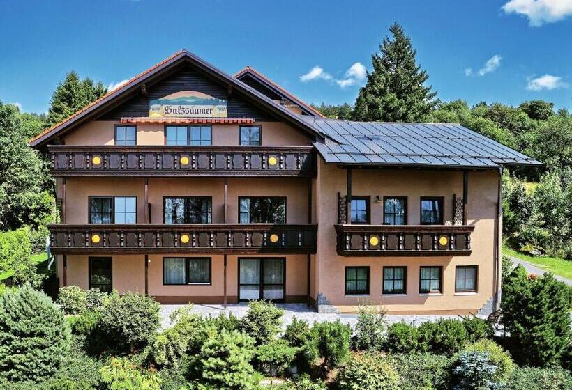 ベッドアンドブレックファースト Pension Salzsäumer