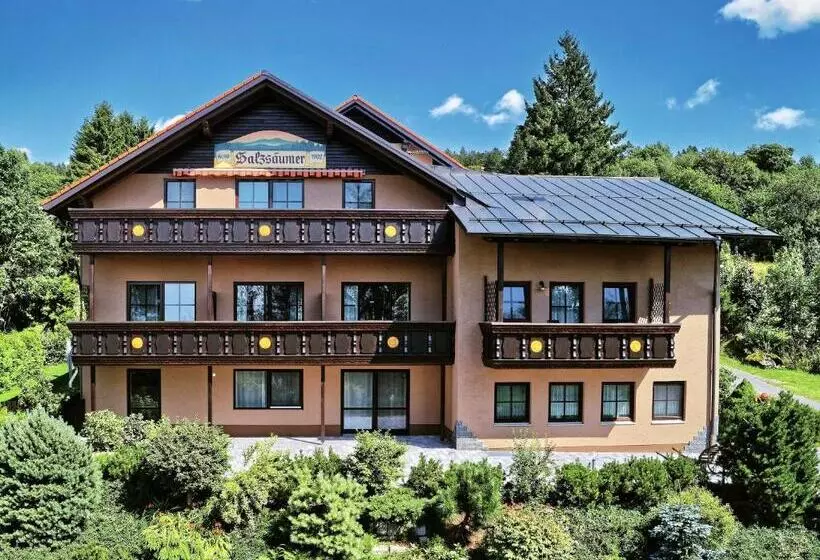 ベッドアンドブレックファースト Pension Salzsäumer