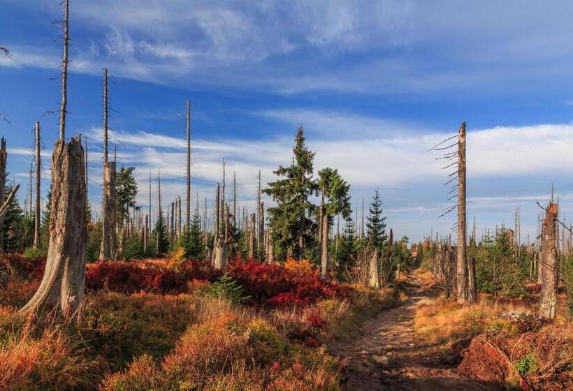 ベッドアンドブレックファースト Pension Salzsäumer