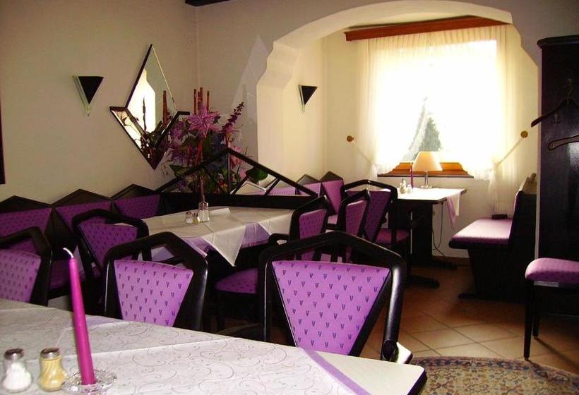 酒店 An Der Hauptallee