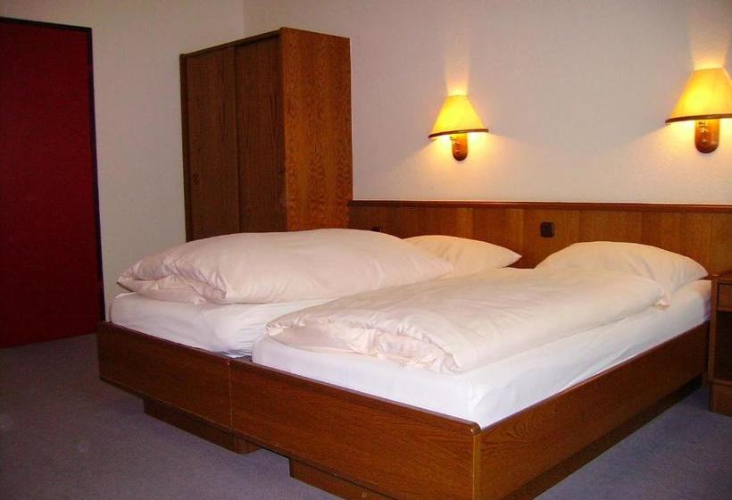 酒店 An Der Hauptallee