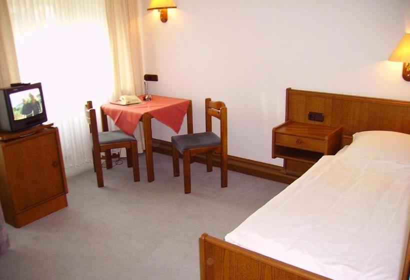 酒店 An Der Hauptallee