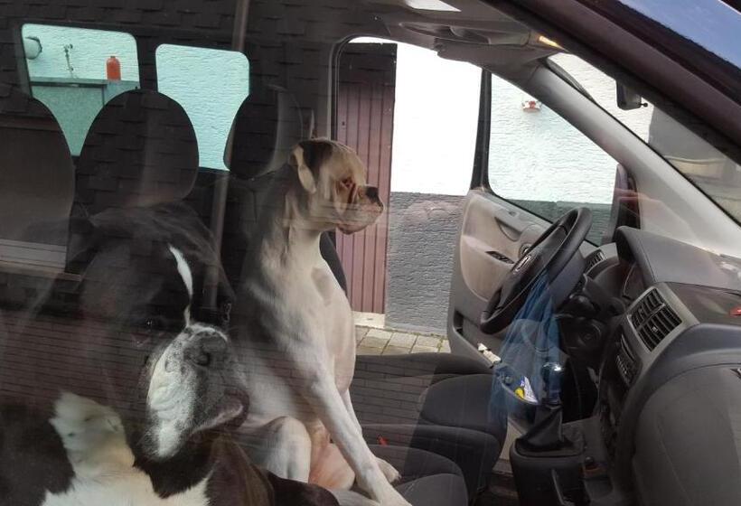 בית מלון כפרי Gasthaus Zur Quelle