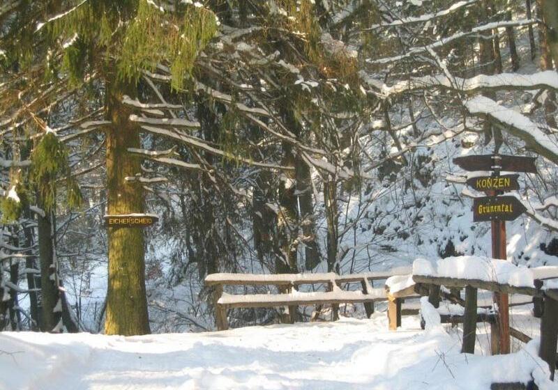 فندق Haus Gertrud