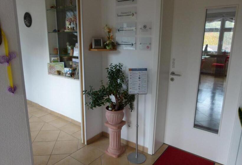 Отель Holzhauer