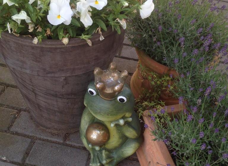 호텔 Hubertus Hamacher