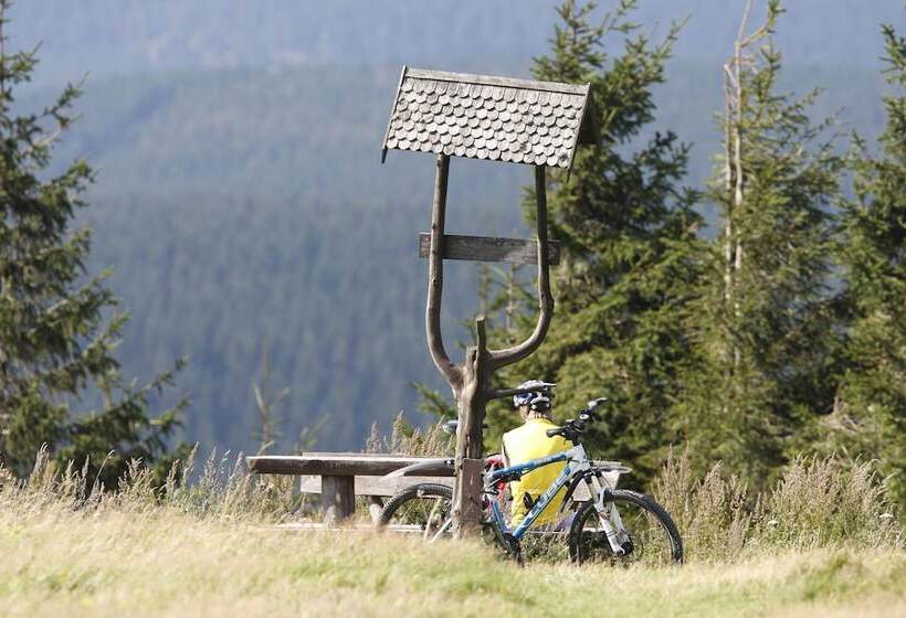 Konsum Gästehaus Quisisana   Nebenhaus Des Konsum Berghotel Oberhof