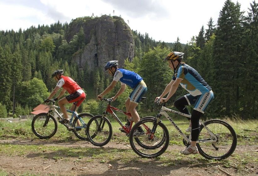 Konsum Gästehaus Quisisana   Nebenhaus Des Konsum Berghotel Oberhof