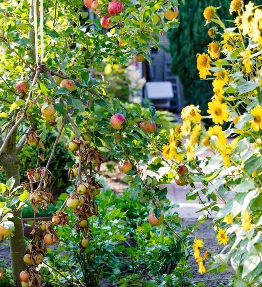 호텔 Landhaus Haffkrug