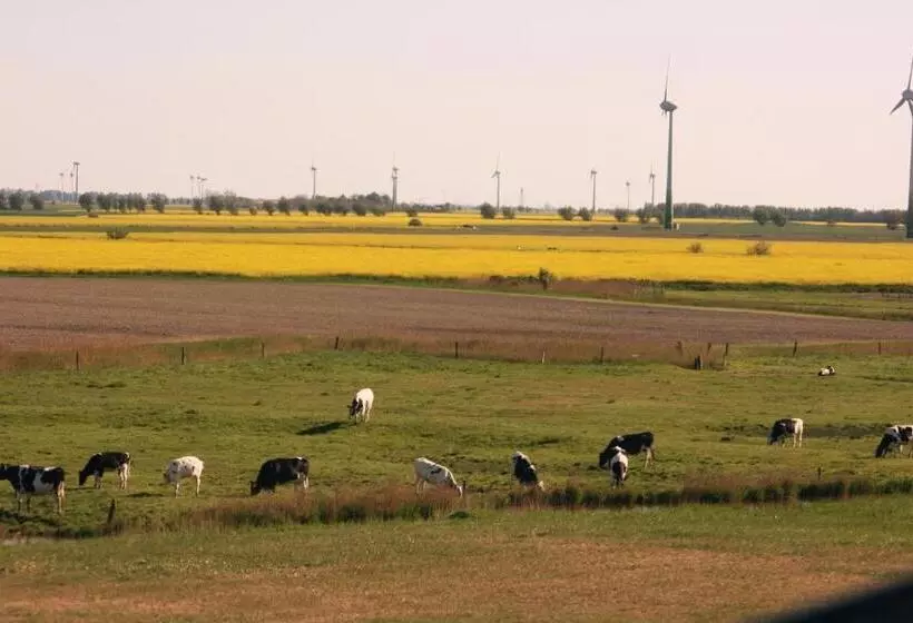 ホテル Landhaus Krabbe Von Greetsiel